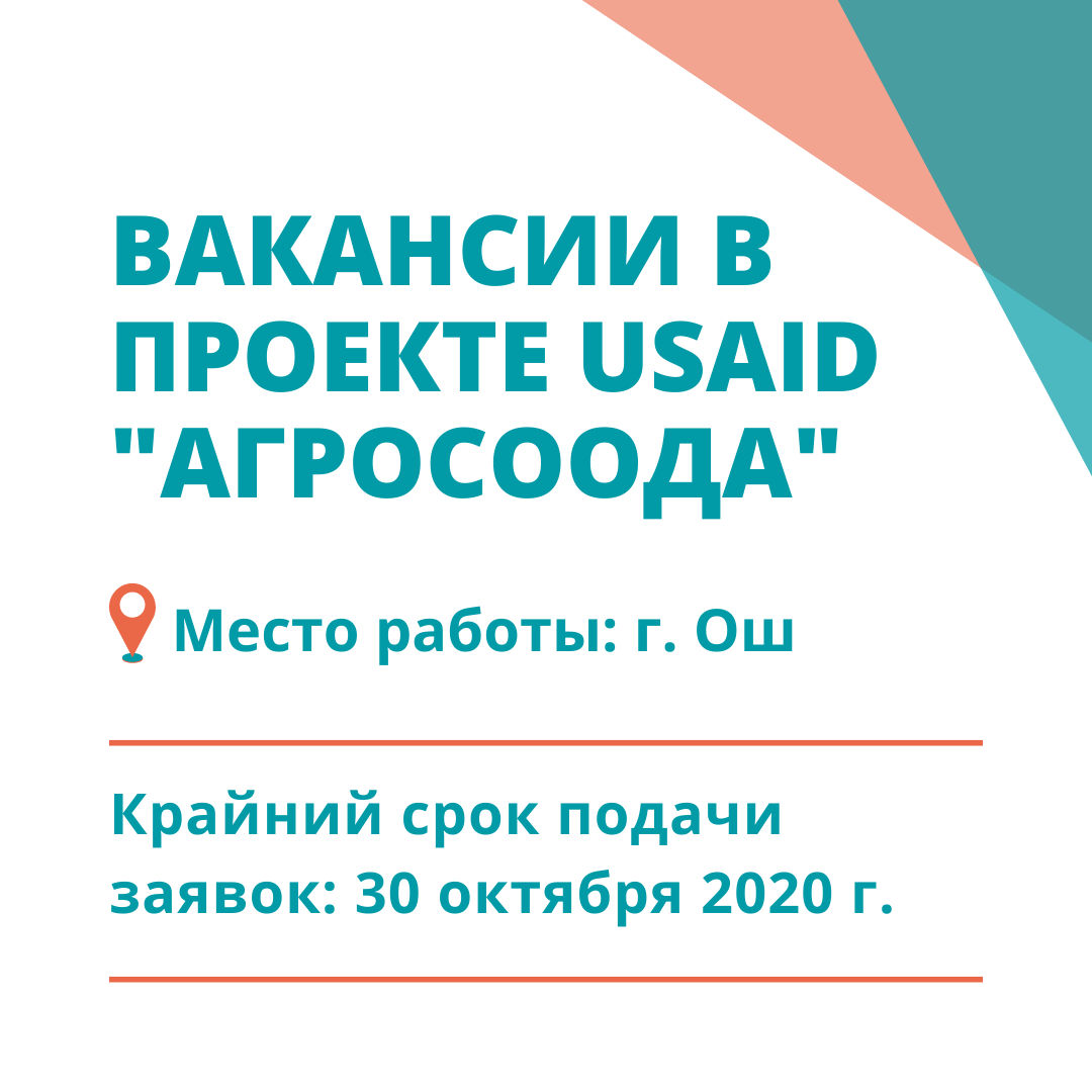 Новый айти проект вакансии